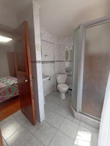 La salle de bains est pourvue de toilettes et d'une douche. dans l'établissement Cabaña Anita, à El Quisco