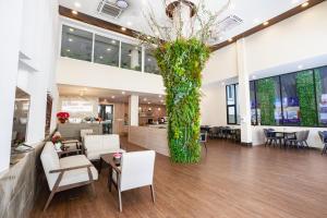 a lobby with white chairs and a large plant at Joli Hotel in Phnom Penh