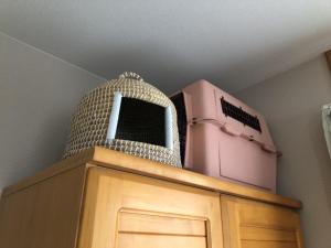 Gambar di galeri bagi 男性のみでの利用不可ーペット連れ歓迎 女性連れ専用ーotomari MUSUHIータイ古式マッサージや妊産婦ケアが受けられる 源泉掛け流し温泉側の宿 ドッグラン可 di Takamatsu