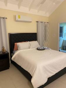 Tempat tidur dalam kamar di Lovely 3 Bedroom Vacay Home JA4