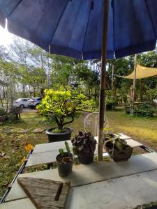 a table with a blue umbrella and potted plants on it at Baan Hotelier Resort in Trat
