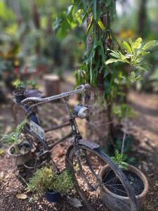 uma bicicleta está estacionada ao lado de uma planta em Baan Hotelier Resort em Trat