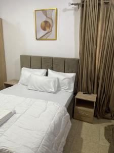 Postel nebo postele na pokoji v ubytování Beautiful 2Br Apt in Ogba, Ikeja, Lagos