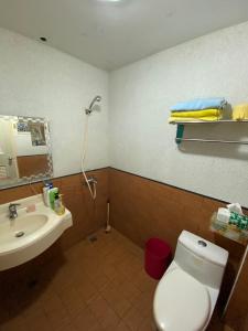 員山鄉的住宿－豐綠民宿 Yilan Fenglu Homestay，一间带卫生间和水槽的浴室