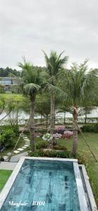une piscine dans une cour avec des palmiers dans l'établissement Villa Mayfair B101 Đại Lải - 5 Phòng ngủ, à Thanh Cao