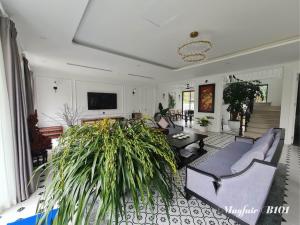 un salon avec un canapé et une plante dans l'établissement Villa Mayfair B101 Đại Lải - 5 Phòng ngủ, à Thanh Cao
