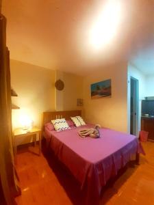 1 dormitorio con 1 cama con manta rosa en MIKI's Guest House en Siquijor