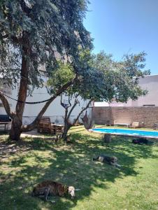 Hồ bơi trong/gần Departamento privado en Casa Barranca Yaco