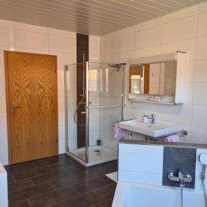 a bathroom with a shower and a sink at Ferienwohnung Cornelia und Michael Persang GbR in Eppenbrunn