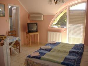 a bedroom with a bed and a tv and a window at Judit haus in Balatonfüred