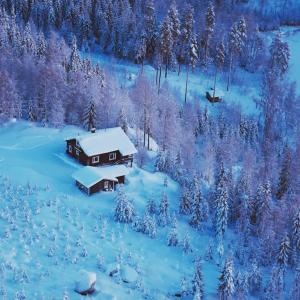 een hut in een met sneeuw bedekt bos met bomen bij Tuliranta in Suonenjoki