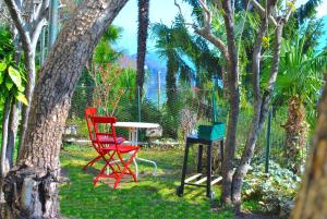 Zahrada ubytování Apartment The Palm with Garden + 7 fotografií
