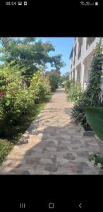 a stone walk way with plants and a building at Casa Royal Haveli in Costinesti