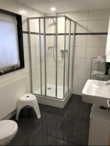 y baño con ducha, aseo y lavamanos. en Ferienwohnungen Koch, en Marburg an der Lahn