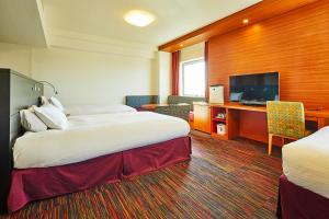 TV a/nebo společenská místnost v ubytování Hotel Nikko Narita