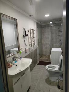 y baño con aseo, lavabo y ducha. en Ж.К Изумруд пентхаус, en Almaty
