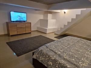 1 dormitorio con 1 cama y TV de pantalla plana en Danube en Brăila