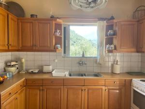 a kitchen with wooden cabinets and a sink and a window at Tonia’s house in Leonidio