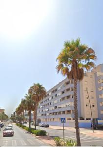eine Palme auf einer Stadtstraße mit einem Gebäude in der Unterkunft Sela Playa in Roquetas de Mar