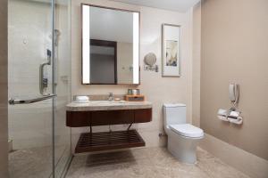 a bathroom with a sink and a toilet and a mirror at Wyndham Garden Changzhou Zhonglou in Changzhou