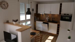 Kuchyň nebo kuchyňský kout v ubytování Ferienwohnung Gottleubapark Apartment