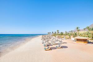 uma praia com um monte de guarda-sóis e o oceano em Mosaique Beach Resort Taba Heights em Taba