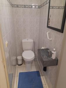 a bathroom with a white toilet and a blue rug at Residentie Canada in Blankenberge +14 photos