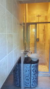 La salle de bains est pourvue d'un lavabo et d'une douche. dans l'établissement Frieden-Hof Guest Accommodation, à Penhill