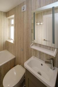 a bathroom with a sink and a toilet and a mirror at The Garden Flat in Aldeburgh