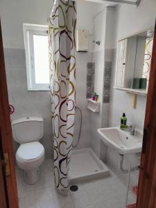 Hibiscus Green Apartments في أفانتو: حمام مع مرحاض ومغسلة