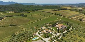 an aerial view of a house in the middle of a field at Agriturismo Baia degli Ulivi in Massa Marittima