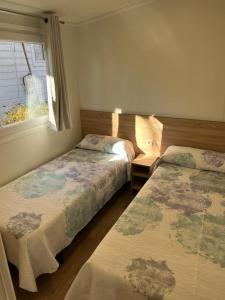 1 dormitorio con 2 camas y ventana en Bungalows & Albergue La Playa, en Logroño