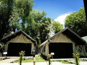 レーにあるNubra Leisure Campの木々を背景に建つ2つの黒と日焼けのテント