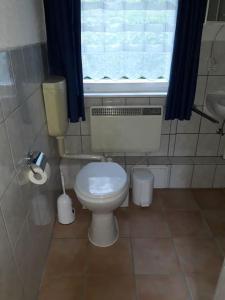 a small bathroom with a toilet and a window at Bungalow blühende Oase in Sebnitz