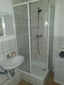 uma casa de banho com um chuveiro e um lavatório. em Bungalow blühende Oase em Sebnitz
