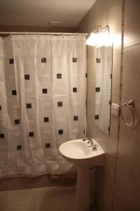 a bathroom with a sink and a shower curtain at Apart Dry Fly in Junín de los Andes