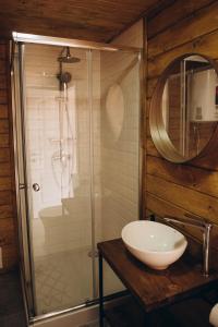 a bathroom with a shower and a sink and a mirror at Mandra Hills in Richka