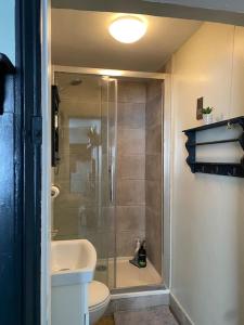a bathroom with a shower and a toilet and a sink at Clifton Georgian Townhouse, Inviting Ensuite Room & Plant Based Breakfast in Bristol