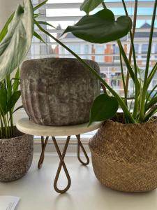 a table with three potted plants and a chair at Gorgeous 1 bed flat near Richmond Bridge. in Richmond