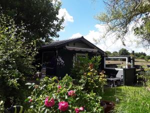 Ferienwohnung Nordlicht في Nortorf: منزل أسود صغير مع الزهور في الفناء