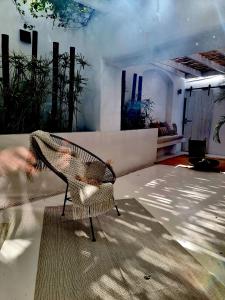 a bird sitting on a chair in a room at Casa BOHO in Alaminos
