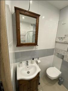 a bathroom with a sink and a toilet and a mirror at Apartament Błogi Sen III - komfortowy nocleg w spokojnej lokalizacji in Zabrze