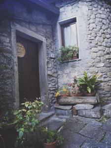 un edificio de piedra con una puerta, una ventana y plantas en Casa Vacanze CAROLE, en Fivizzano