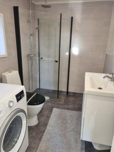 een badkamer met een wasmachine, een toilet en een wastafel bij Orust East Coast Villa in Stillingsön