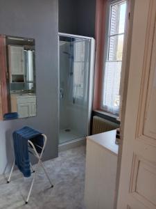 uma casa de banho com um chuveiro e uma cadeira num quarto em La Folia - Ferme de Lucqy 