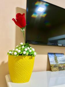 una rosa roja en un jarrón amarillo al lado de una TV en Aeroporto House, en Macapá