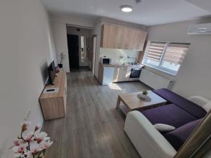 O bucătărie sau chicinetă la City Premium Apartments