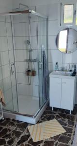 y baño con ducha acristalada y lavamanos. en House Vochozka en La Orotava