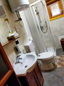 uma casa de banho com um lavatório, um chuveiro e um WC. em B&B CA' DEL PITUR CICOGNA em Cossogno