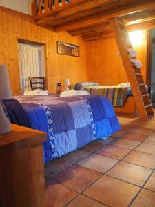 Cossogno的住宿－B&B CA' DEL PITUR CICOGNA，一间卧室设有两张床和梯子